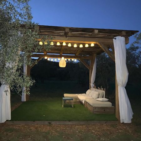 La Bergerie De Cigalon Bed and Breakfast Mouries Εξωτερικό φωτογραφία