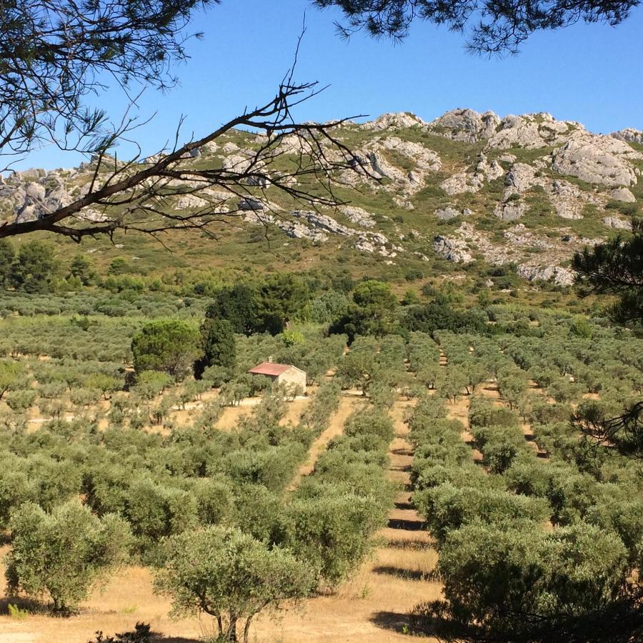 La Bergerie De Cigalon Bed and Breakfast Mouries Εξωτερικό φωτογραφία