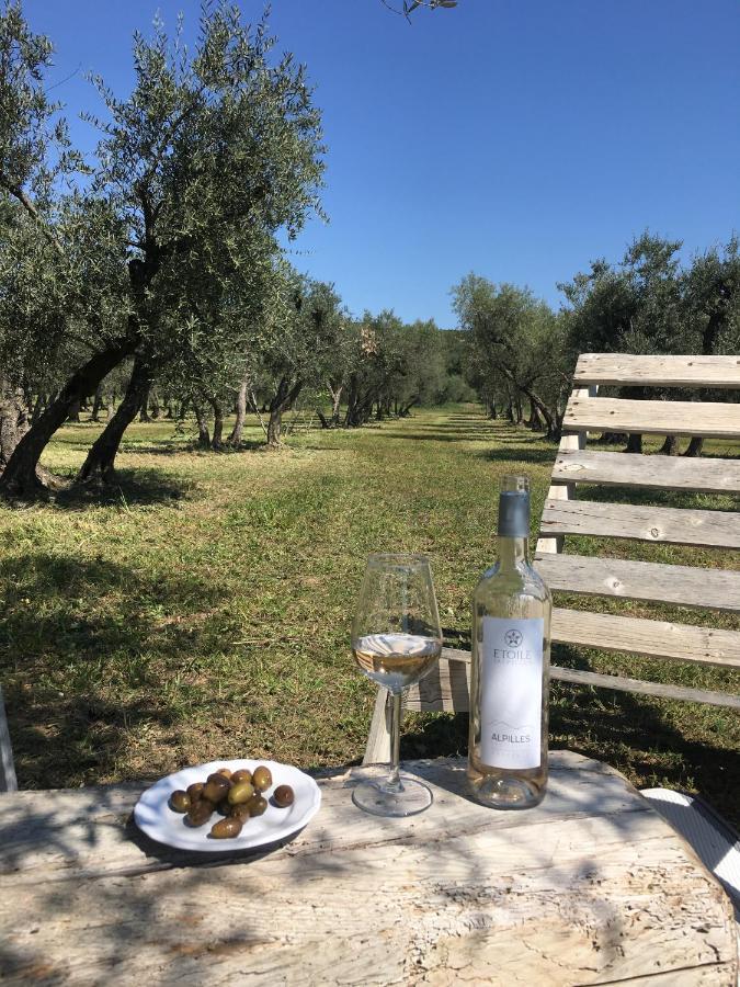 La Bergerie De Cigalon Bed and Breakfast Mouries Εξωτερικό φωτογραφία