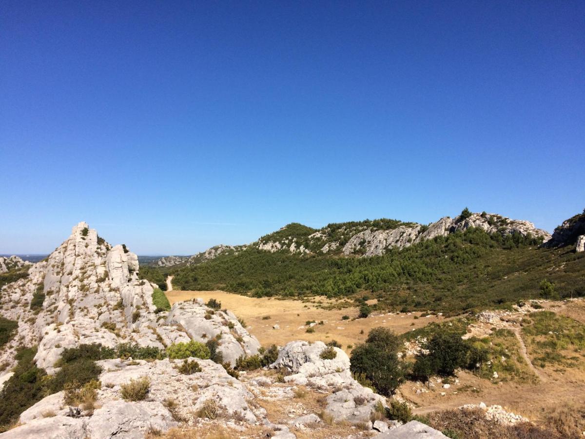 La Bergerie De Cigalon Bed and Breakfast Mouries Εξωτερικό φωτογραφία