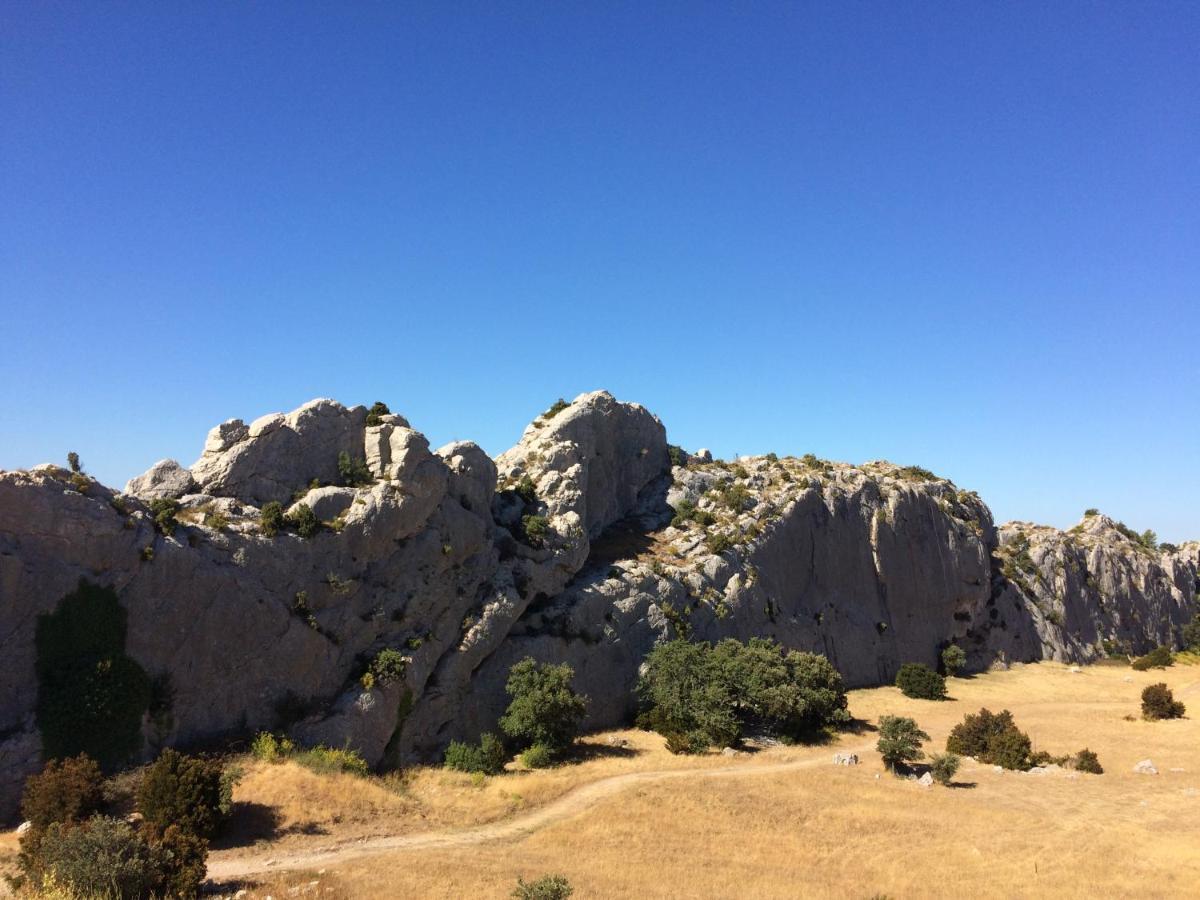 La Bergerie De Cigalon Bed and Breakfast Mouries Εξωτερικό φωτογραφία