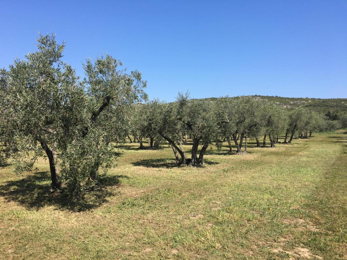 La Bergerie De Cigalon Bed and Breakfast Mouries Εξωτερικό φωτογραφία