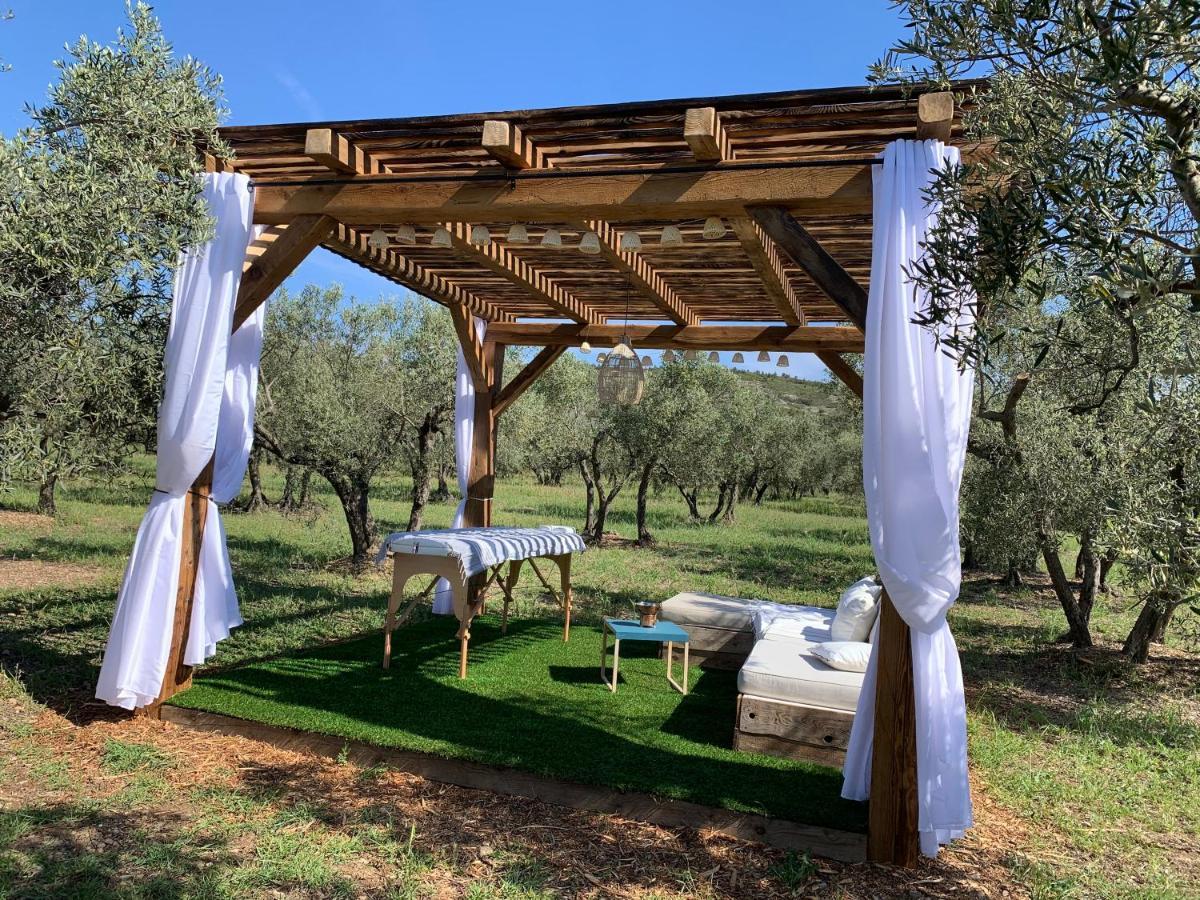 La Bergerie De Cigalon Bed and Breakfast Mouries Εξωτερικό φωτογραφία