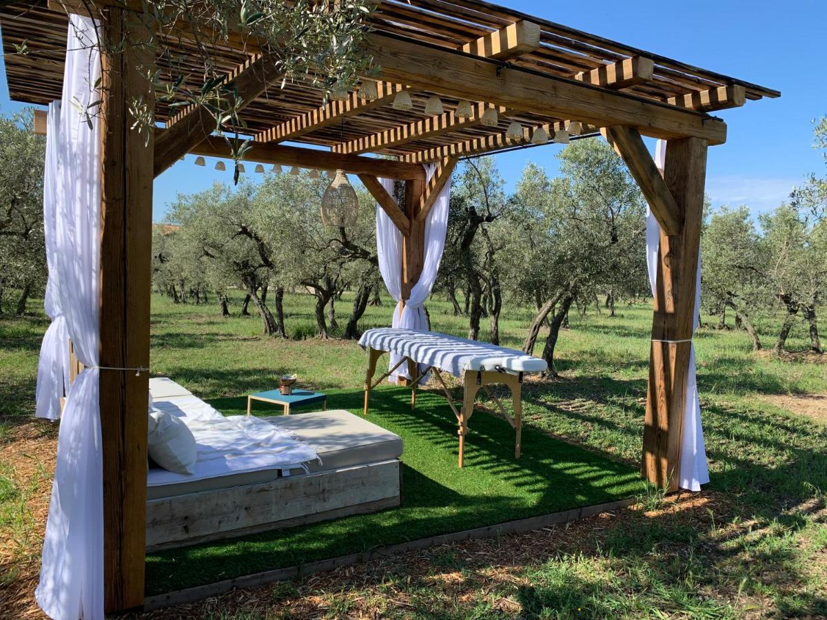 La Bergerie De Cigalon Bed and Breakfast Mouries Εξωτερικό φωτογραφία